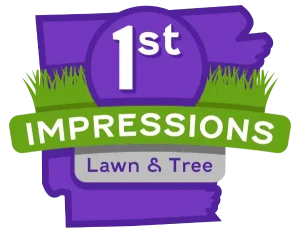 1st Impressions Logo