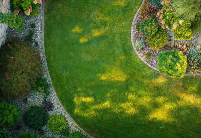 Healthy Lawn